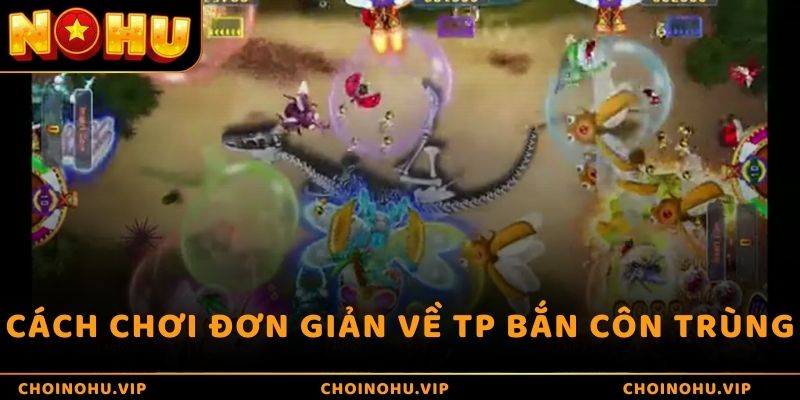 Cách chơi đơn giản về TP Bắn Côn Trùng