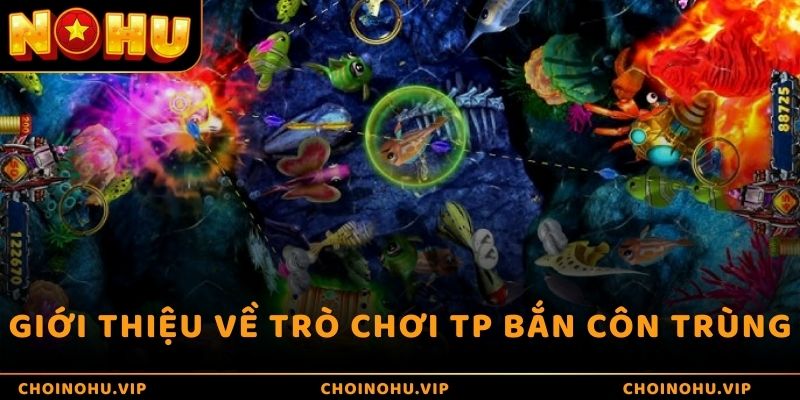 Giới thiệu về trò chơi TP Bắn Côn Trùng